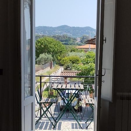 利沃诺La Casina Di Lorenzo公寓 外观 照片